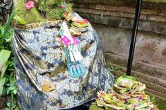 Moss-covered stone figure clothed in a sarong beside an altar piled with prayer offerings for Kuningan Day in Bali Indonesia