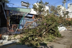 Heavy winds knocked over a tree and destroyed part of this coffee shop