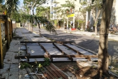 Typhoon Molave storm debris on the street in Danang