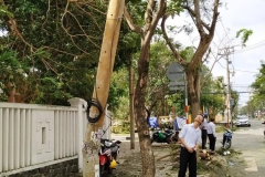Broken power pole