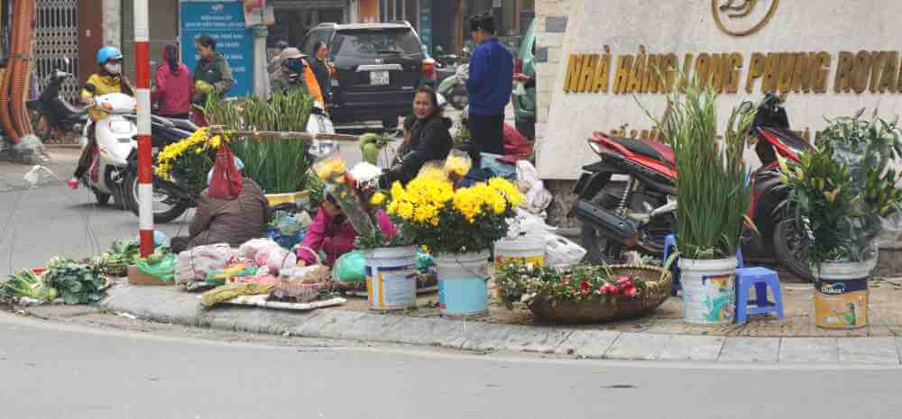 Flower sellers pop up everywhere for Tet