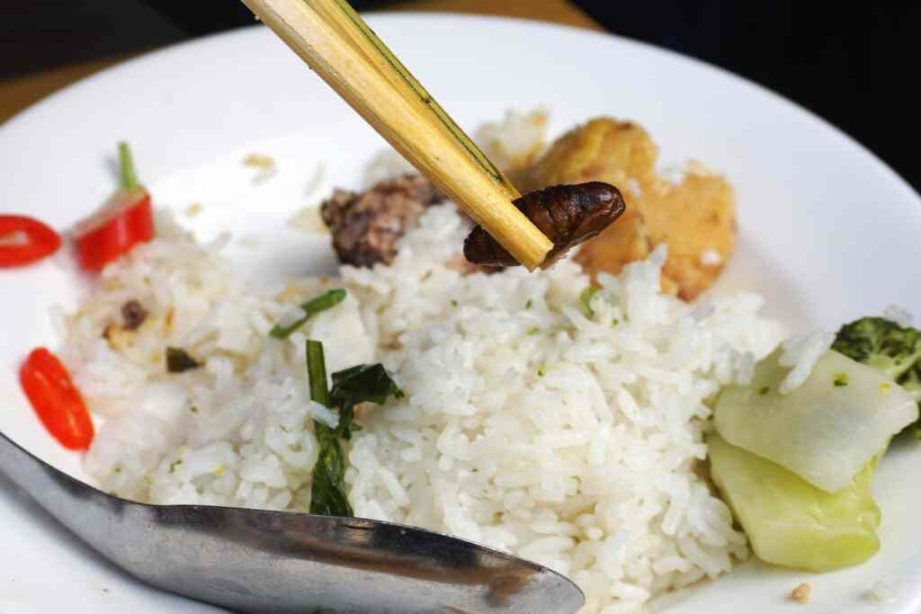 A roasted grub, part of this tasty Vietnamese lunch