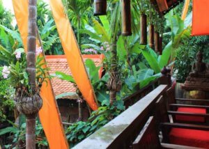 The view from our hotel restaurant in Siem Reap