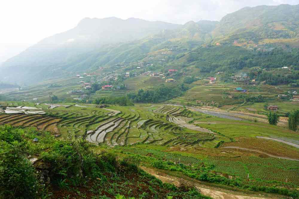 Scenic terraced valley high in the mountainous Sapa District, in northwestern Vietnam.