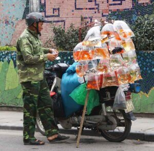 A motorcycle-mounted vendor sells tropical fish on the street in Hanoi