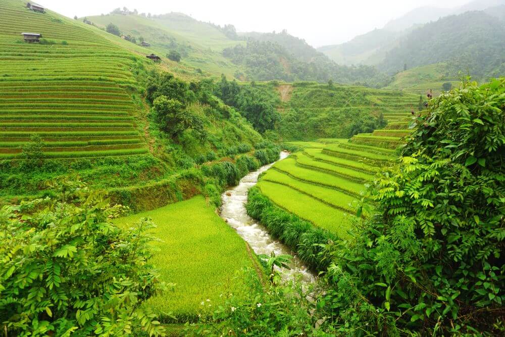 Terraced rice fields in Mu Cang Chai District