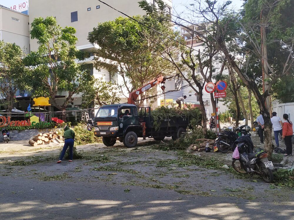Workers clear downed trees and repair power lines after Typhoon Molave blew through Danang
