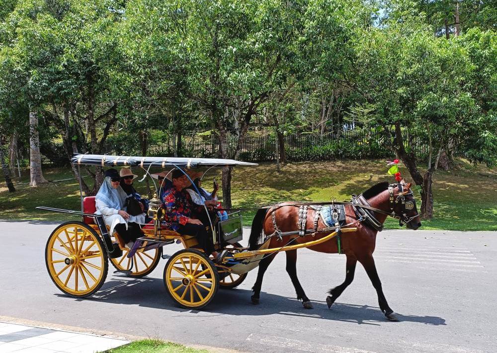 Borobudur visitors enjoy a horse-drawn carriage ride around the grounds